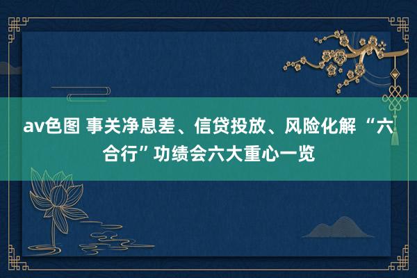 av色图 事关净息差、信贷投放、风险化解 “六合行”功绩会六大重心一览