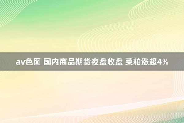 av色图 国内商品期货夜盘收盘 菜粕涨超4%