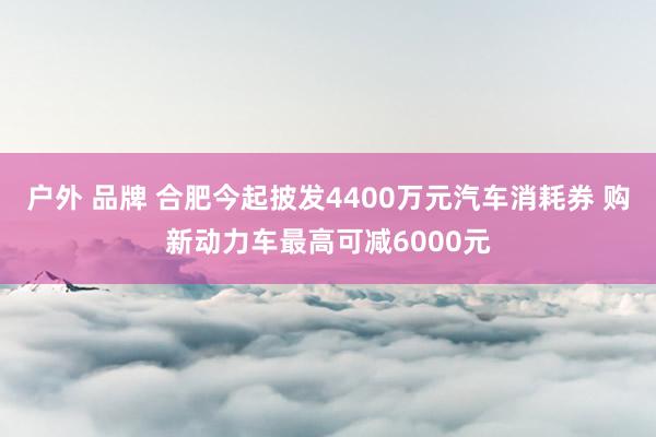 户外 品牌 合肥今起披发4400万元汽车消耗券 购新动力车最高可减6000元
