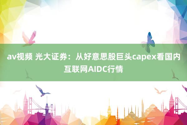 av视频 光大证券：从好意思股巨头capex看国内互联网AIDC行情