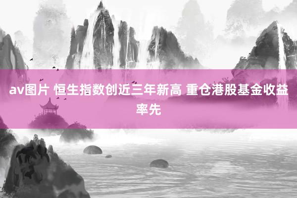 av图片 恒生指数创近三年新高 重仓港股基金收益率先