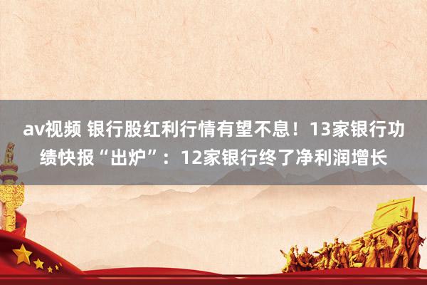 av视频 银行股红利行情有望不息！13家银行功绩快报“出炉”：12家银行终了净利润增长
