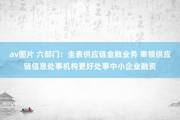 av图片 六部门：圭表供应链金融业务 率领供应链信息处事机构更好处事中小企业融资