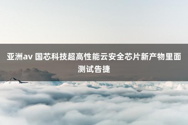 亚洲av 国芯科技超高性能云安全芯片新产物里面测试告捷